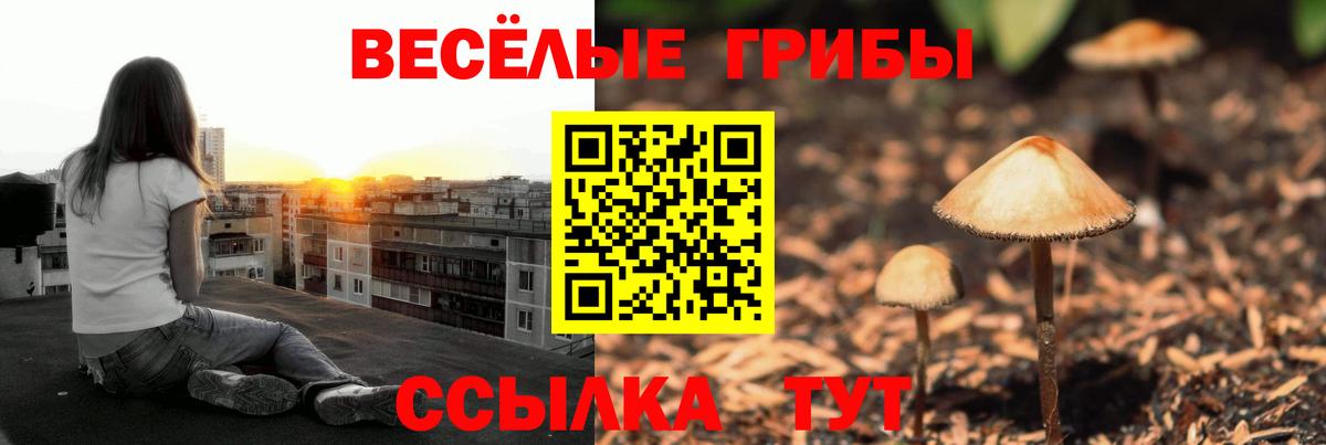 Псилоцибиновые грибы мицелий  Вход с VPN  Десногорск  Псилоцибиновые грибы Magic Shrooms 
